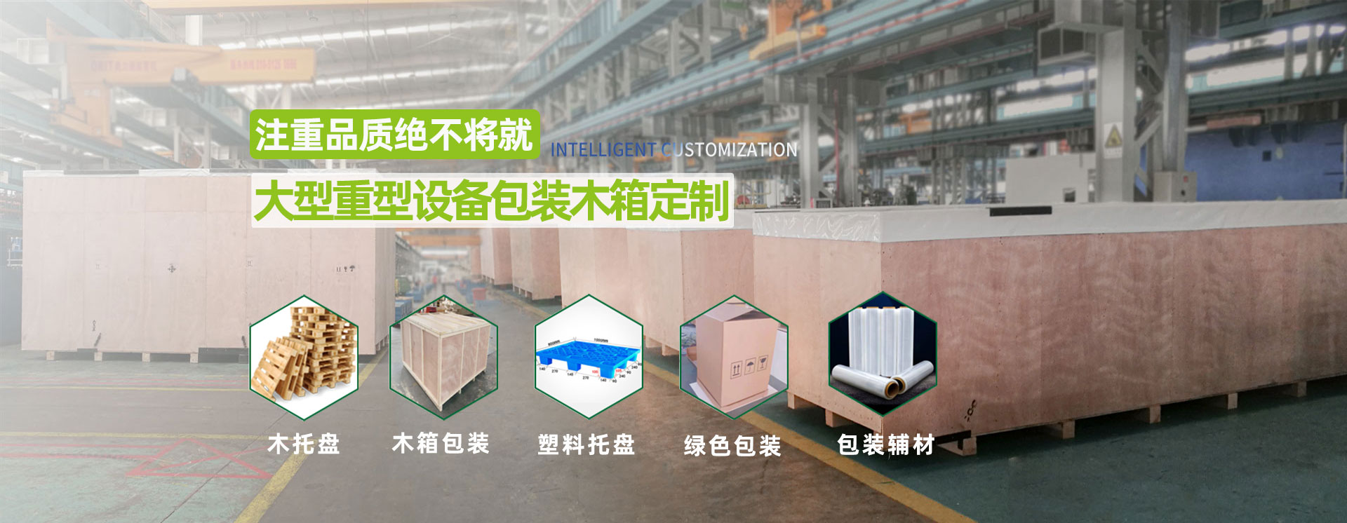 树袋熊包装
